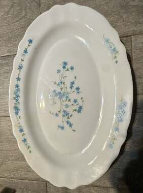 Vintage Arcopal Veronica Pattern Oval Serving Platters Set of 2